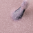 IQ BEAUTY   Лак для ногтей с биокерамикой с вкраплениями   12,5мл   Prolac PINK CLOUDS   #088 оптом