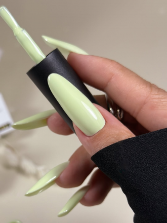 ALTA NIVELO   #282 ТИХАЯ РОСКОШЬ   10мл   Гель-лак оптом