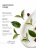 MANITA   Body&amp;Hand Cream FRESH BLACK TEA   300мл   Крем для рук и тела   {8285}   (под заказ) оптом