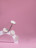 ALGEBRA BEAUTY   SOFT WHITE   Тонкие   S (15мм)   #150   (50шт)   Сменные файлы  для педикюрного диска без подложки оптом