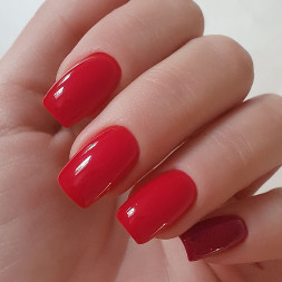 BSG База цветная жесткая 20мл Base Colloration Hard #18