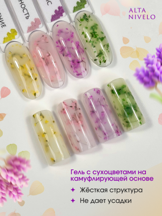 ALTA NIVELO   Gel Black ЦВЕТУЩАЯ ВЕСНА   15г   Гель для моделирования средне-жидкий с сухоцветами оптом