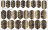 TIES   Пленка для маникюра   P-047 оптом