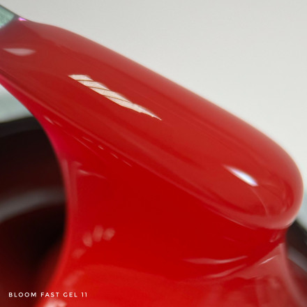 BLOOM   Gel FAST #11   15мл   Гель для моделирования оптом