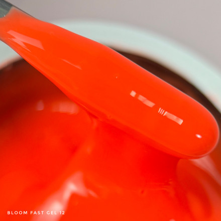 BLOOM   Gel FAST #12   15мл   Гель для моделирования оптом