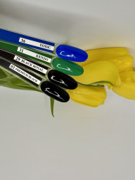 TIES   Гель-лак  10мл  KENZO   #031