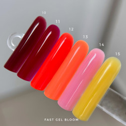 BLOOM   Gel FAST   #15   15мл   Гель для моделирования
