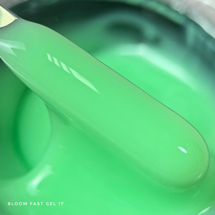 BLOOM   Gel FAST #17   15мл   Гель для моделирования оптом