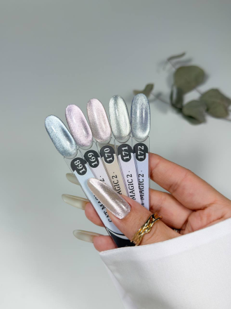 ALTA NIVELO   Гель-лак кошачий глаз   10мл   CAT MAGIC 2   #170 оптом