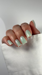 NAIL REPUBLIC   #1011 Камуфлирующий   10мл   Гель-лак полупрозрачный