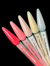 BLOOM   Gel CARAMEL   #01   15мл   Гель для моделирования