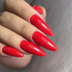 BSG   KONFITYUR HB   #025   НИЗКАЯ ВЯЗКОСТЬ   13г (шайба)   Гель для моделирования средне-жидкий   Красный