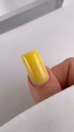 BLOOM   Gel CARAMEL #10   15мл   Гель для моделирования оптом