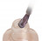 IQ BEAUTY   Лак для ногтей с биокерамикой перламутровый   12,5мл   Prolac LIKE NO OTHER   #062 оптом