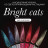 NAIL REPUBLIC   Гель-лак кошачий глаз светоотражающий   10мл   Bright Cats   #684 оптом