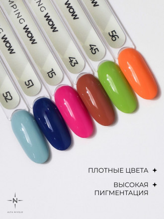 ALTA NIVELO   Лак для стемпинга   6мл   #15 оптом