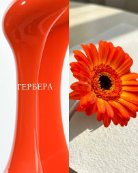 KLIO   Unique gel   ГЕРБЕРА   15г   Гель для моделирования средне-жидкий цветной