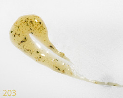 NAIL REPUBLIC   Base SAKURA   #203   5г (банка)   База цветная жесткая с сухоцветами