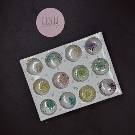 NAIL ART   Сухоцветы для дизайна сухие   Микс   12шт оптом